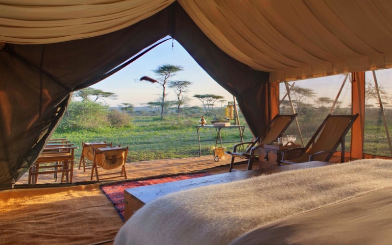 Stay 4 Nights and Pay 3 Nights Only at Serengeti Under Canvas Camp Tanzania